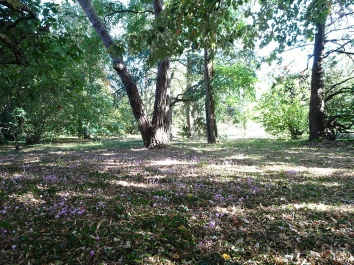 Villa Bois Logis Blere Esterno foto